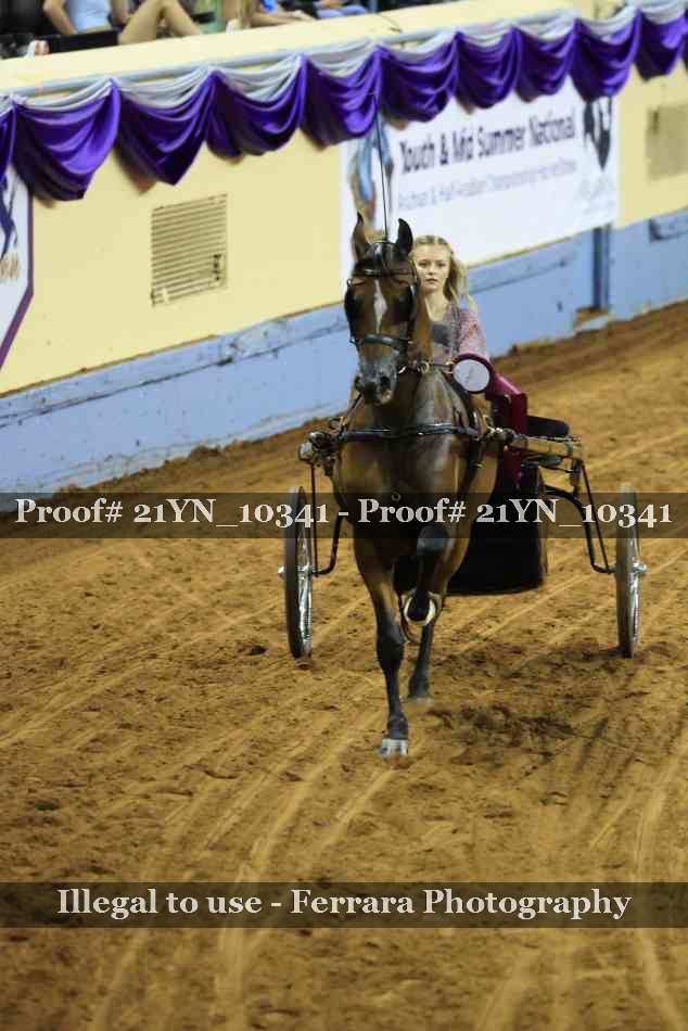 Proof 21YN_10341