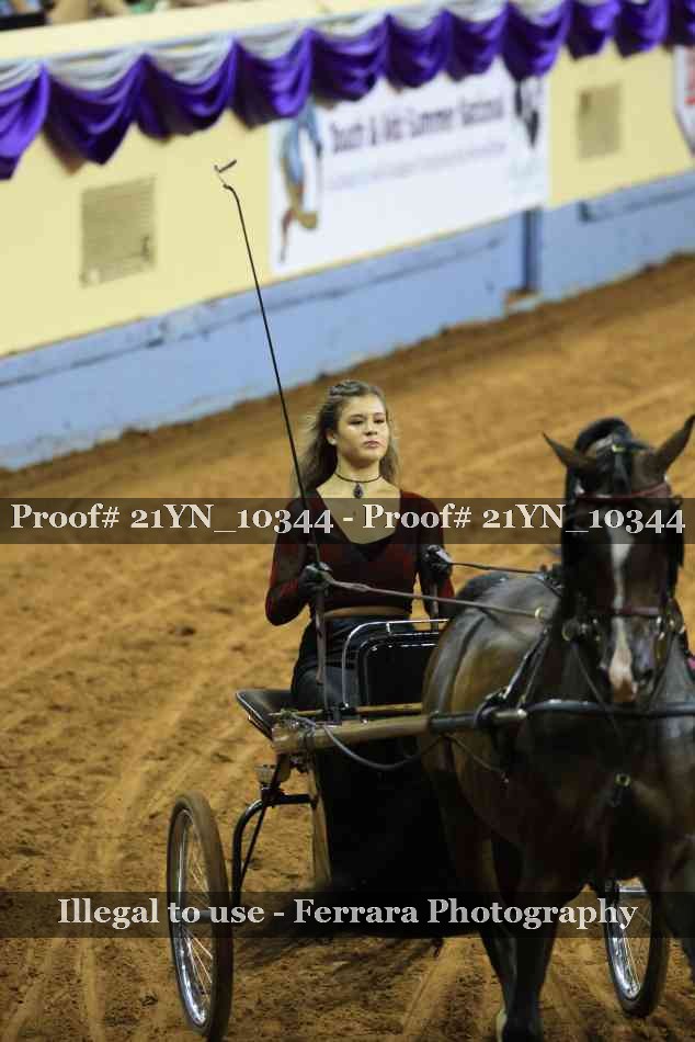 Proof 21YN_10344