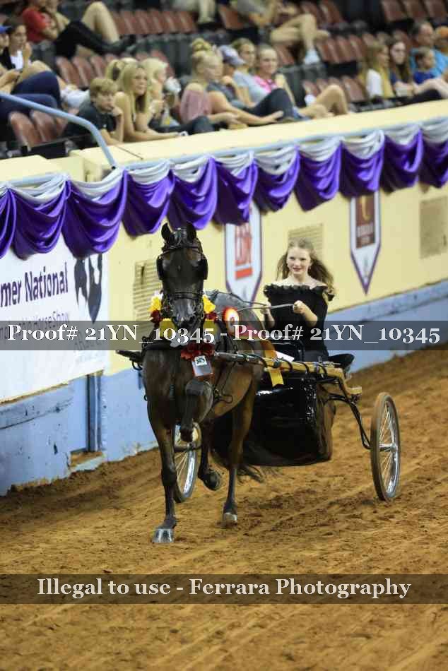 Proof 21YN_10345