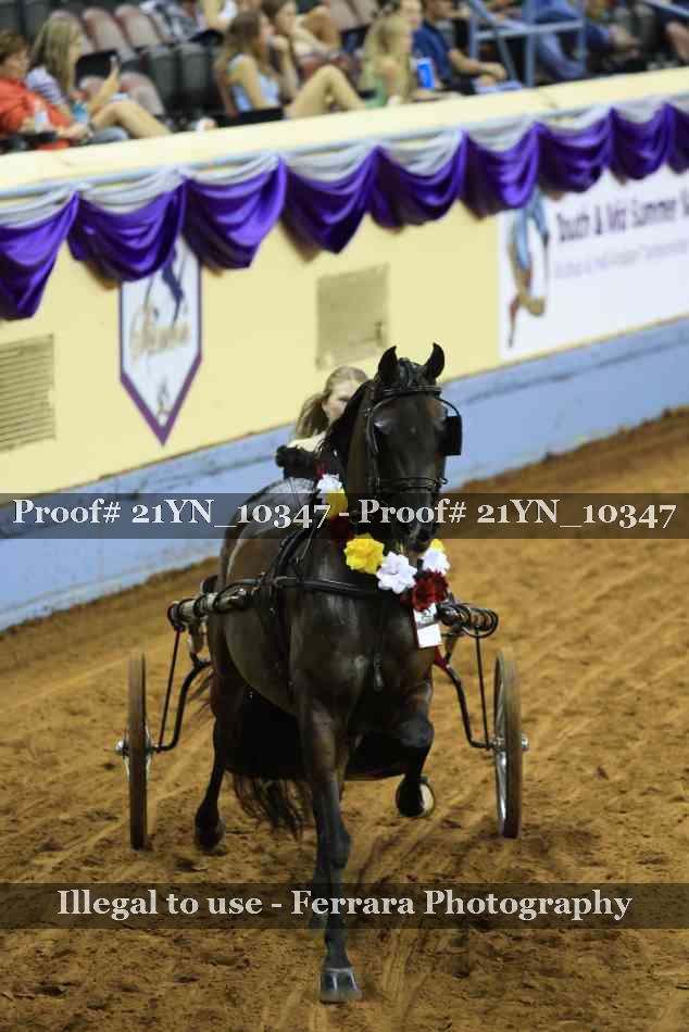 Proof 21YN_10347