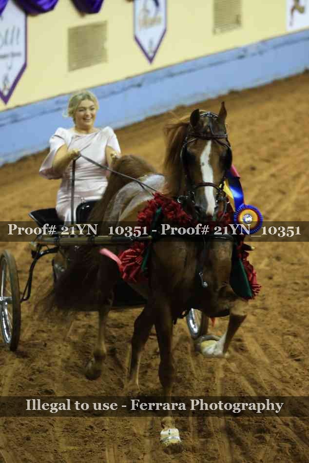 Proof 21YN_10351
