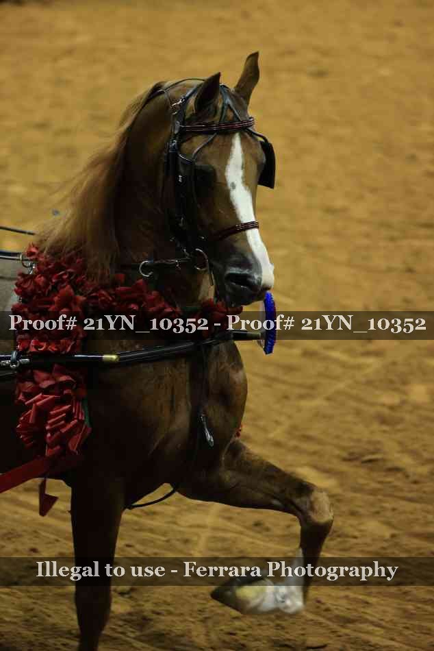 Proof 21YN_10352