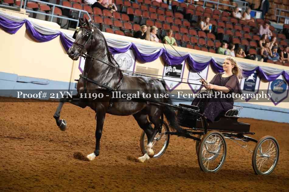 Proof 21YN_11190