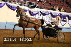 21YN_11192 proof