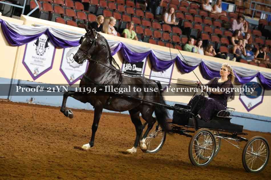 Proof 21YN_11194