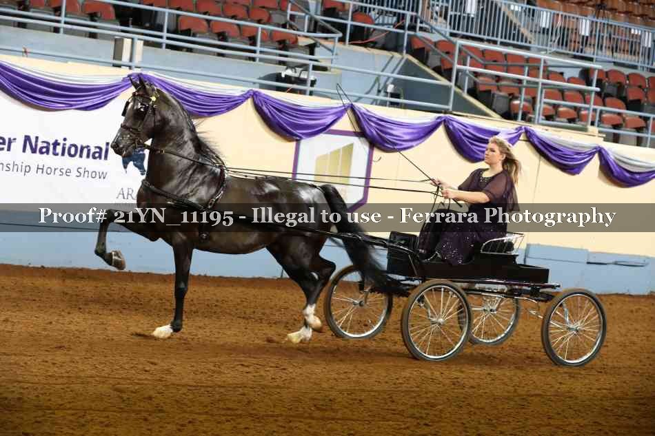 Proof 21YN_11195