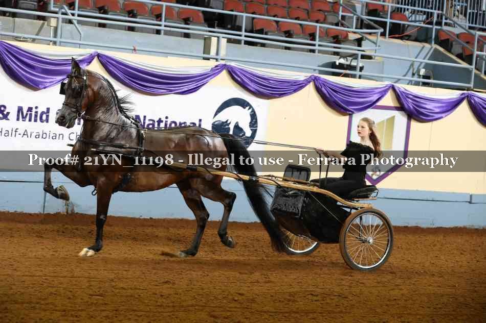Proof 21YN_11198