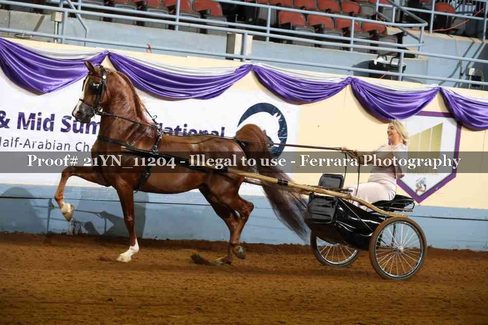 Proof 21YN_11204