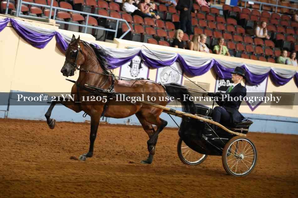 Proof 21YN_11205