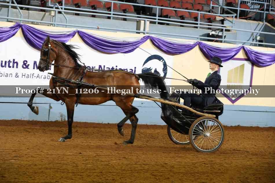 Proof 21YN_11206