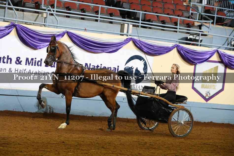 Proof 21YN_11207