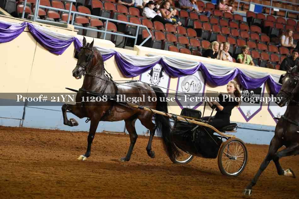 Proof 21YN_11208