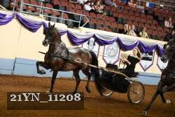 21YN_11208 proof