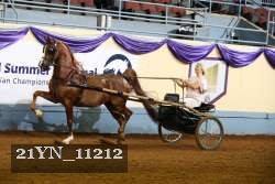 21YN_11212 proof