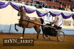 21YN_11217 proof