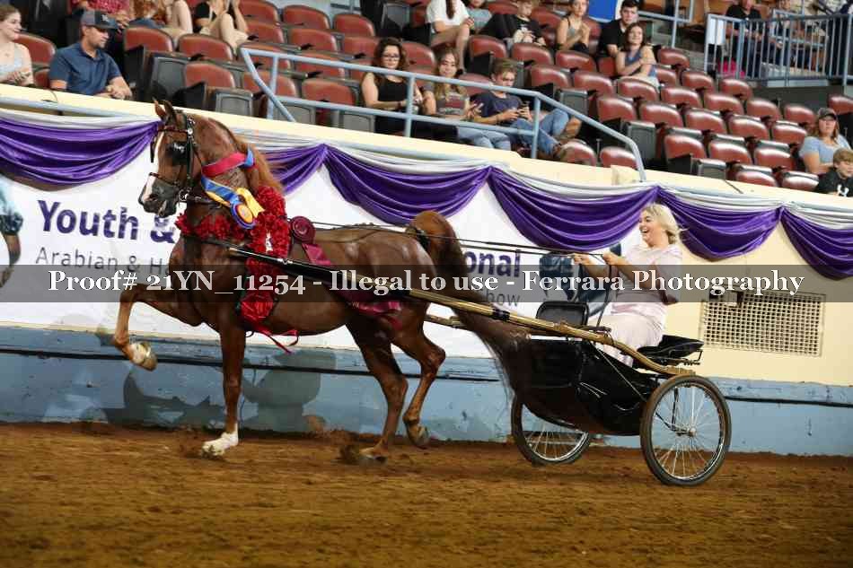 Proof 21YN_11254