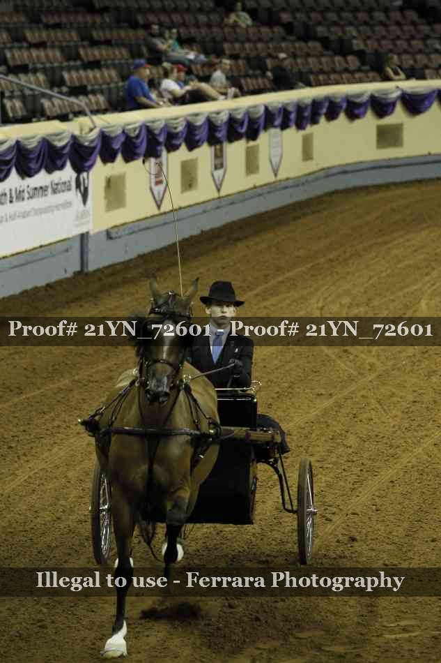 Proof 21YN_72601