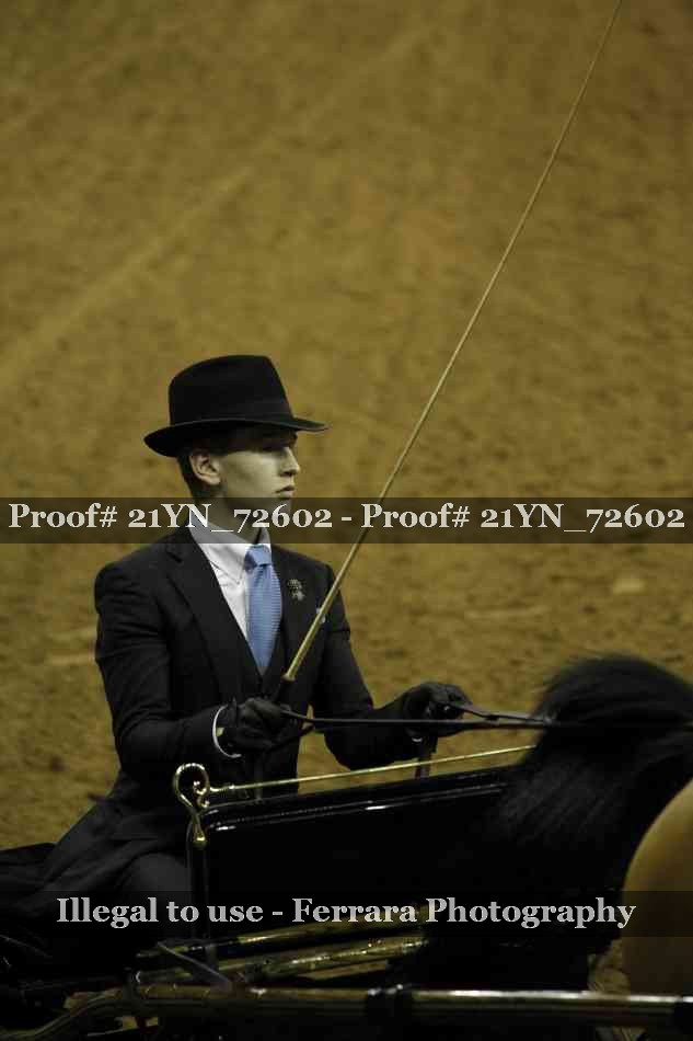 Proof 21YN_72602