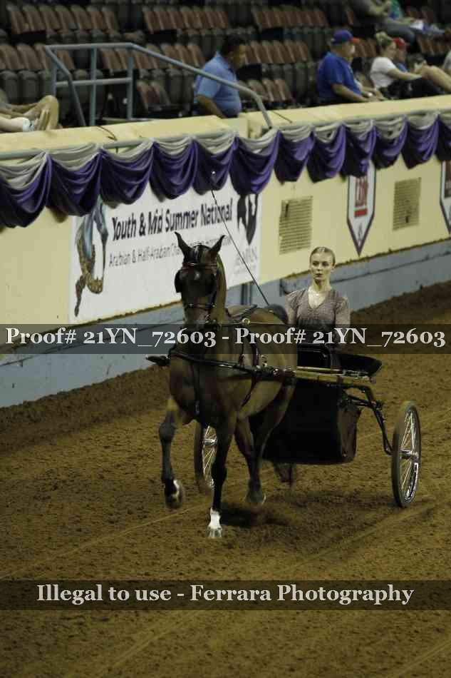 Proof 21YN_72603