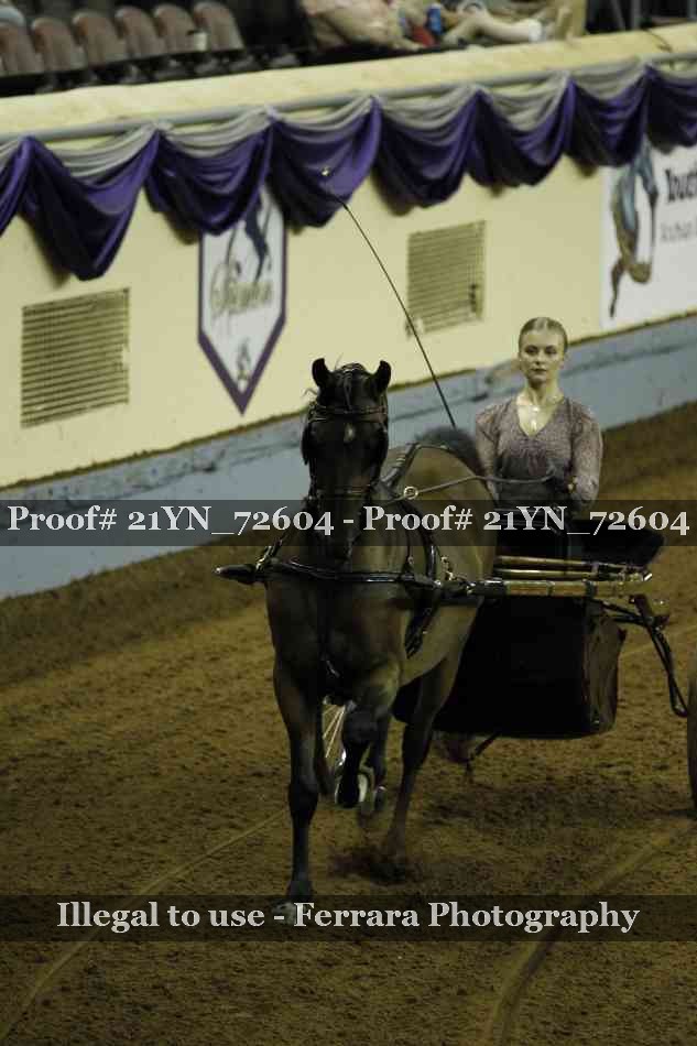 Proof 21YN_72604