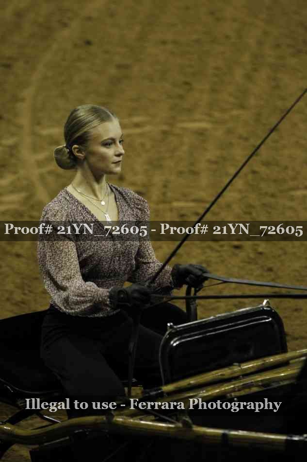 Proof 21YN_72605