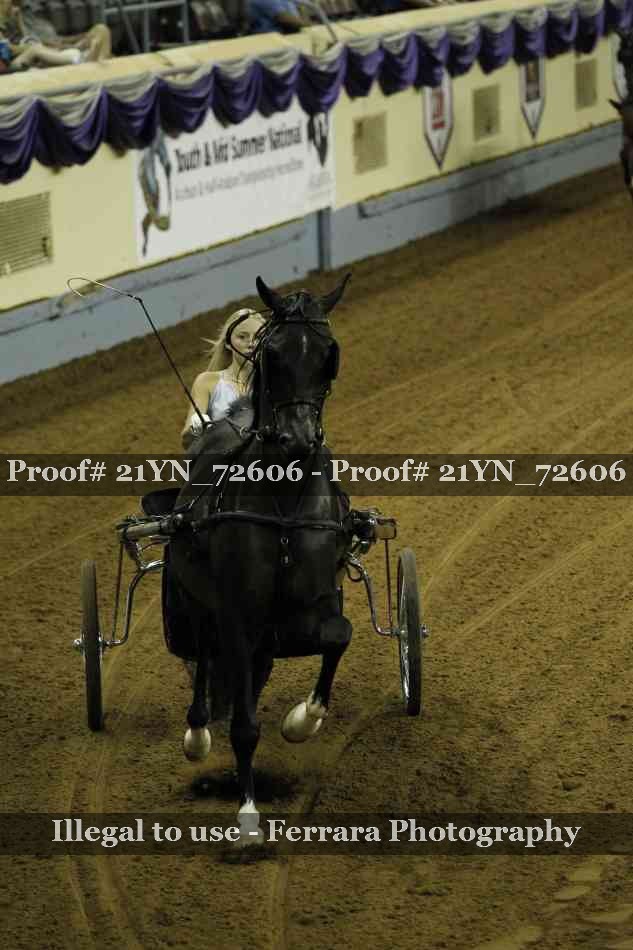 Proof 21YN_72606