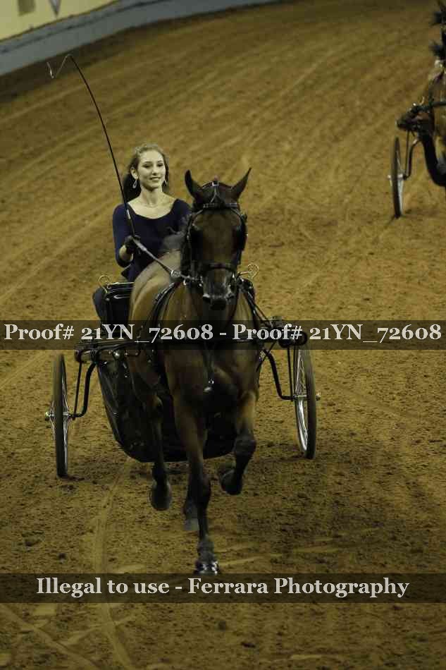 Proof 21YN_72608