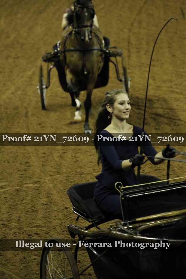 Proof 21YN_72609