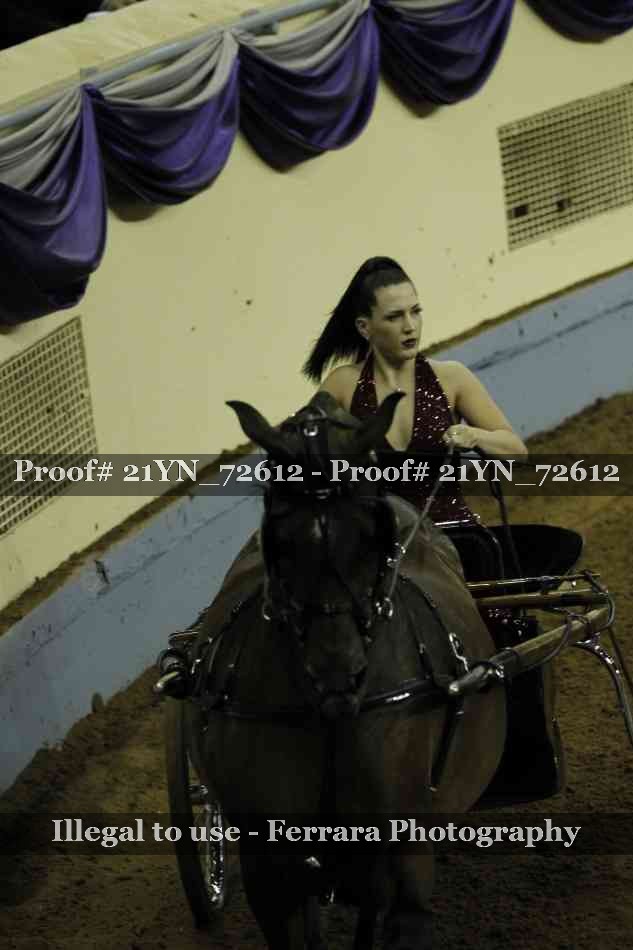 Proof 21YN_72612