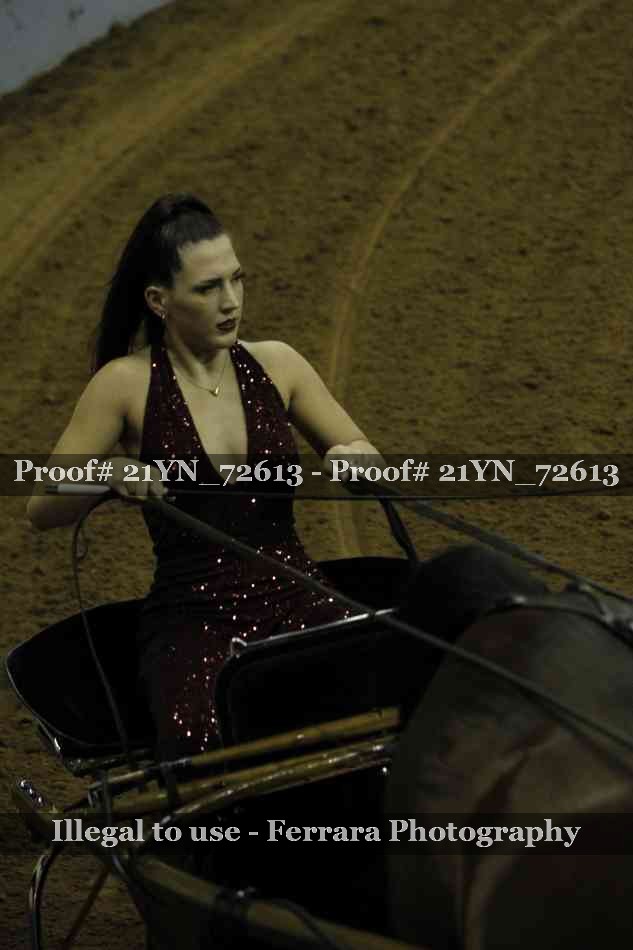 Proof 21YN_72613