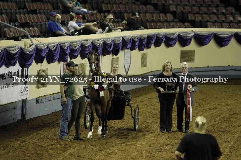Proof 21YN_72625