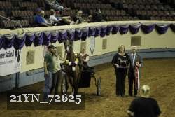 21YN_72625 proof