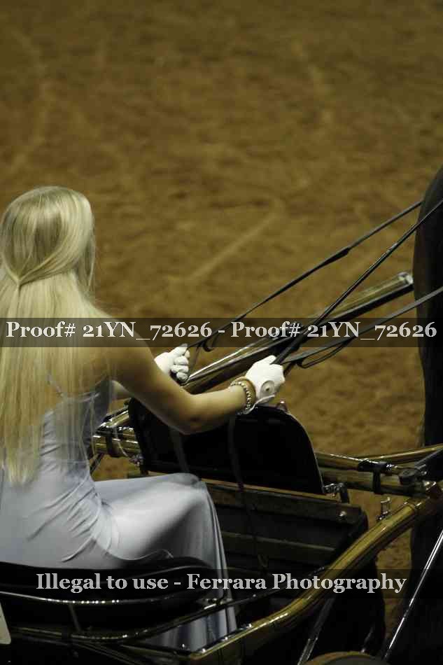 Proof 21YN_72626