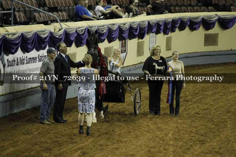 Proof 21YN_72639