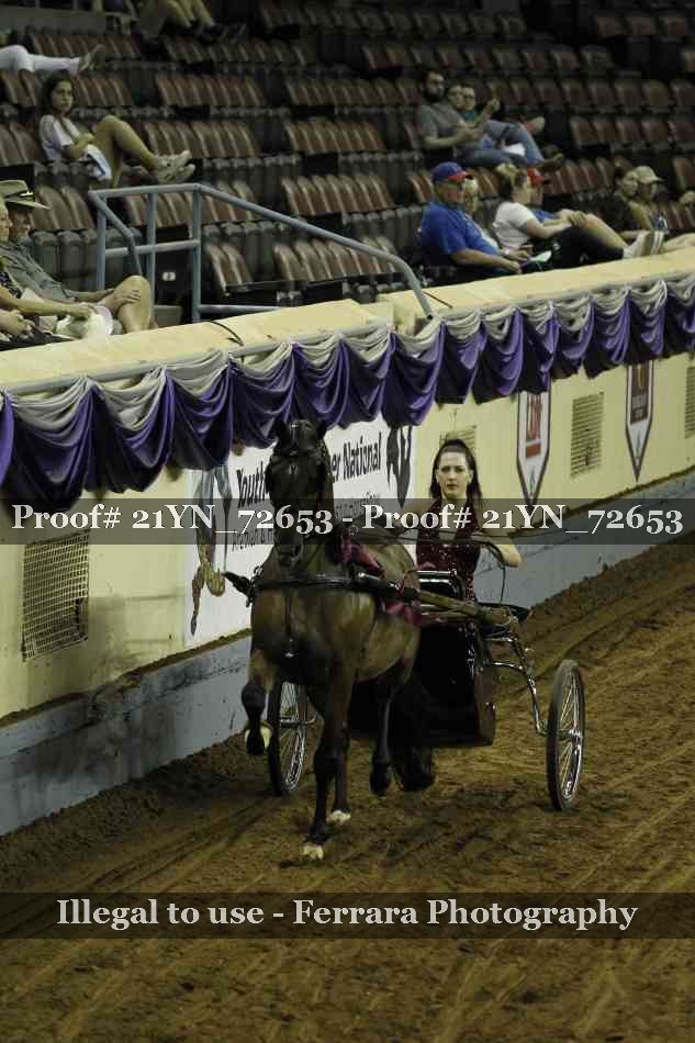 Proof 21YN_72653