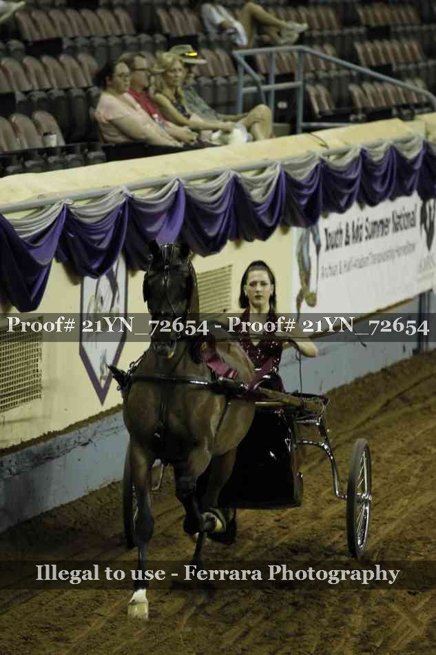 Proof 21YN_72654