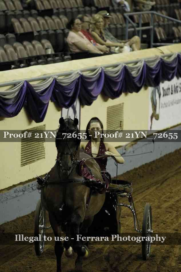 Proof 21YN_72655