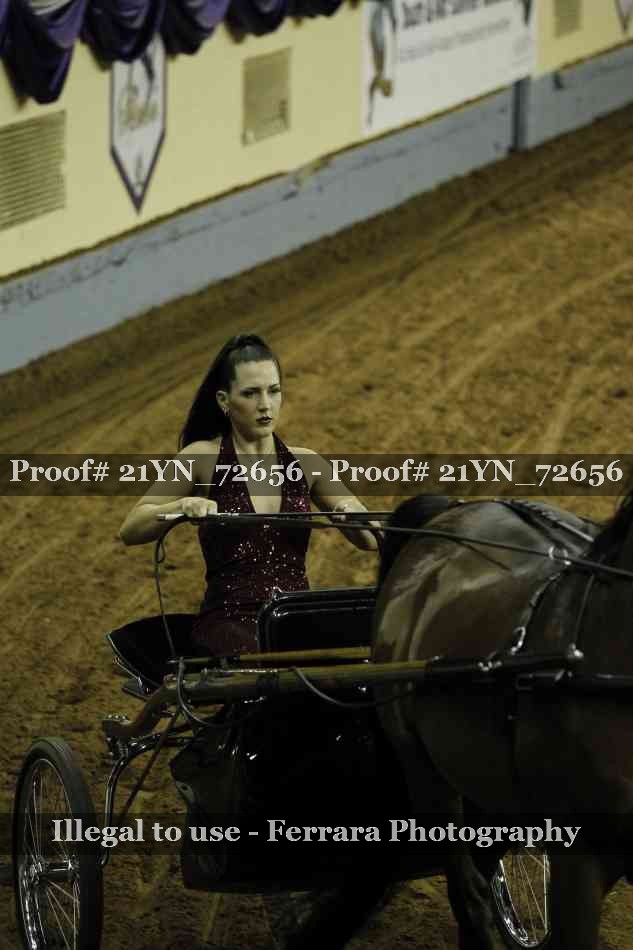 Proof 21YN_72656