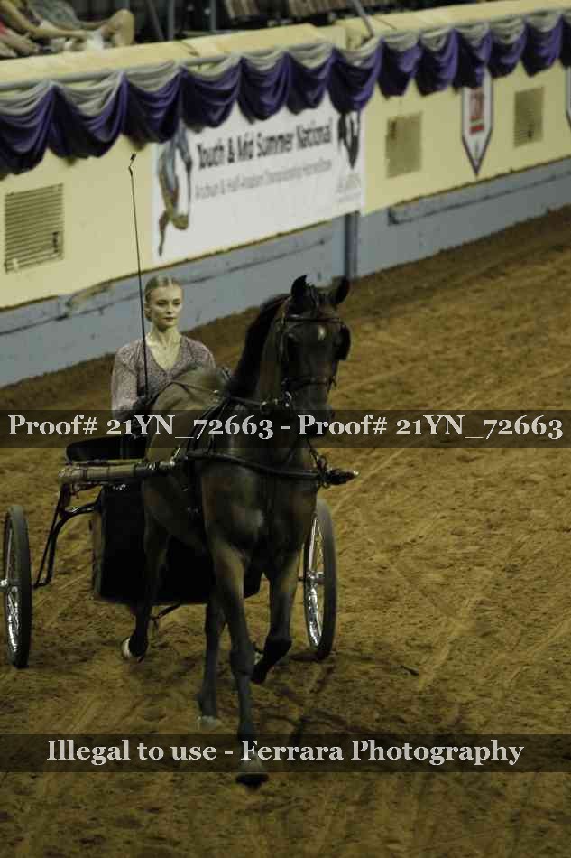 Proof 21YN_72663