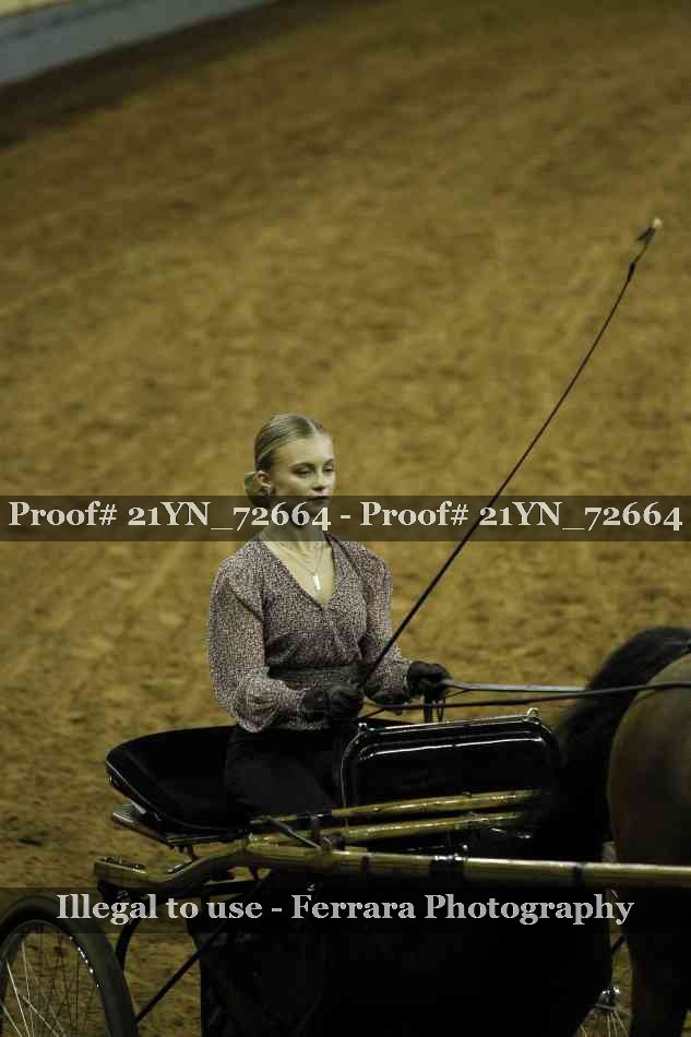 Proof 21YN_72664
