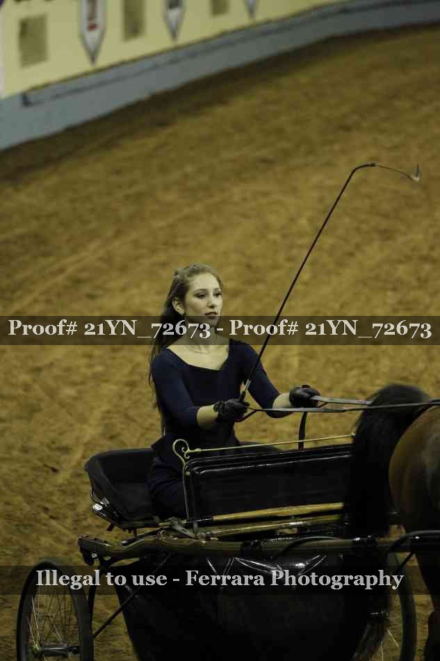Proof 21YN_72673
