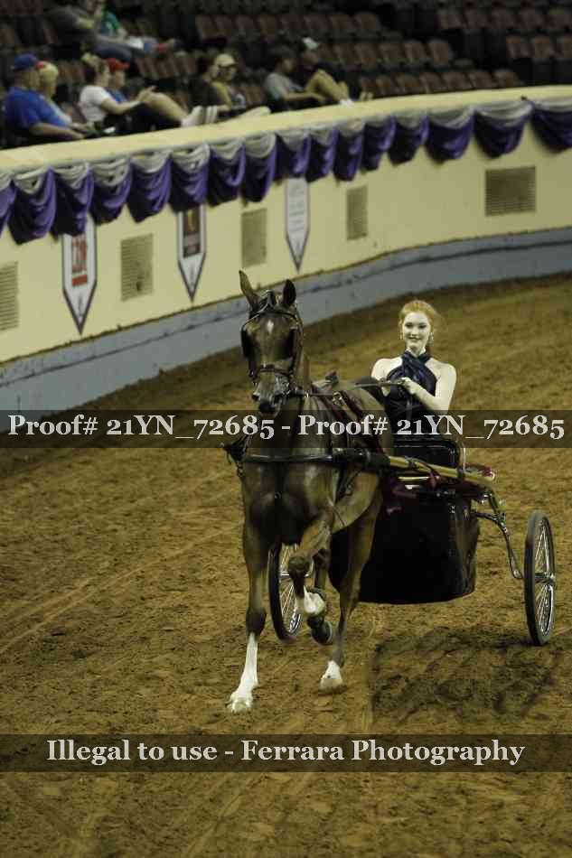 Proof 21YN_72685