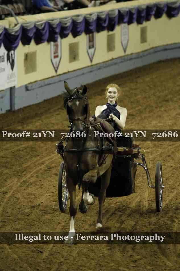 Proof 21YN_72686