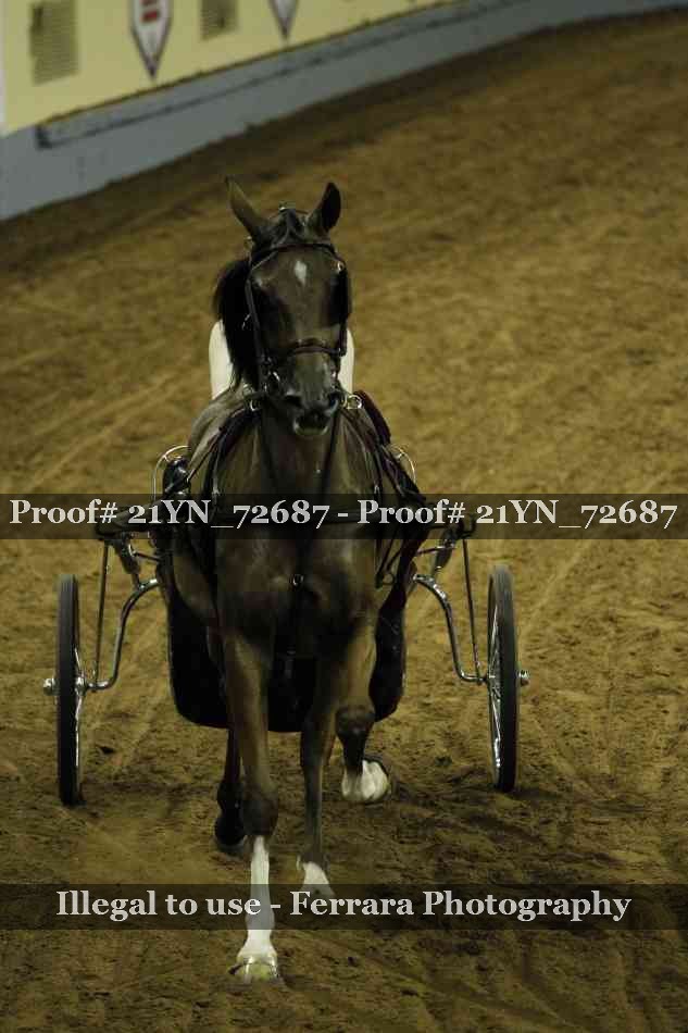 Proof 21YN_72687