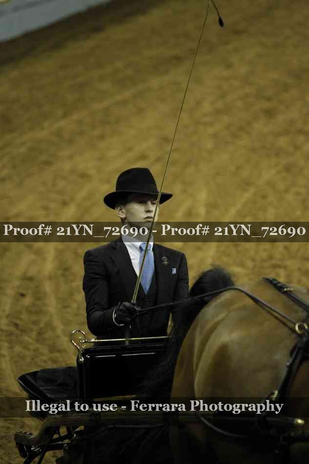 Proof 21YN_72690