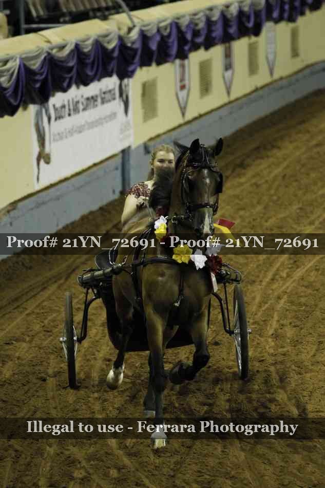 Proof 21YN_72691