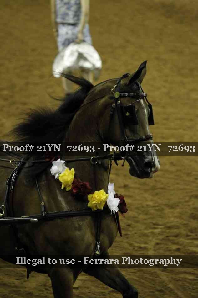 Proof 21YN_72693