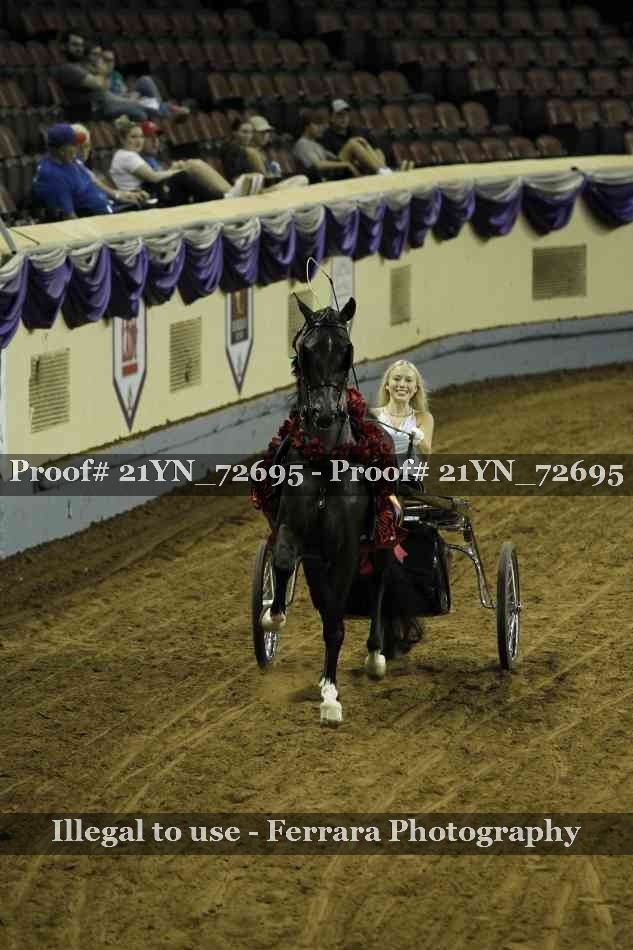 Proof 21YN_72695