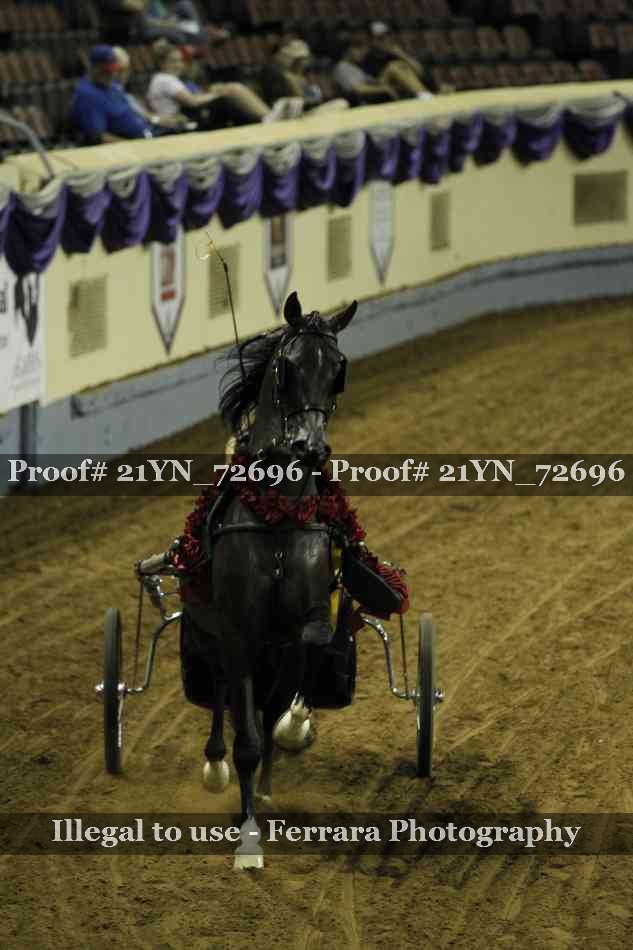 Proof 21YN_72696