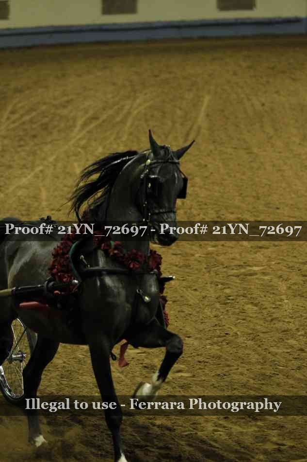 Proof 21YN_72697
